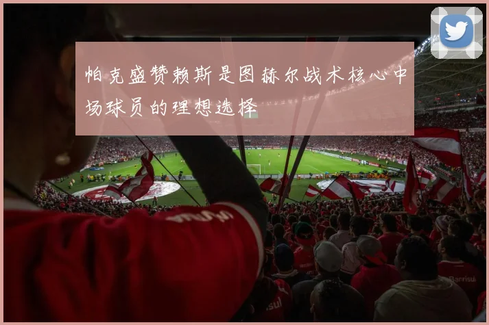 帕克盛赞赖斯是图赫尔战术核心中场球员的理想选择